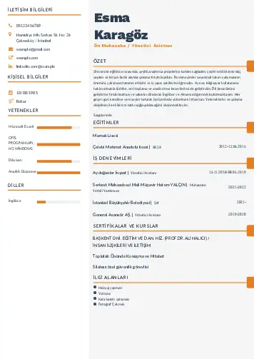 Yönetici Asistanı Cv Örnekleri cv indir